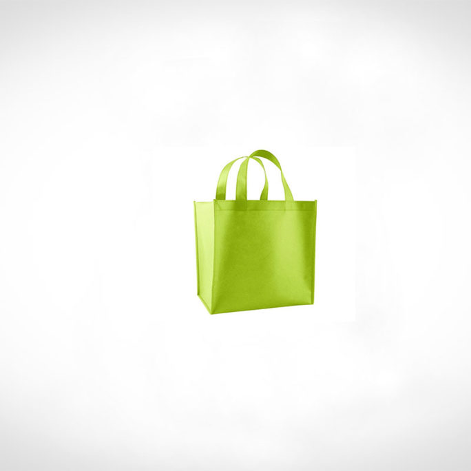 Bagmiller - Model Name: Storer Shopping Bags - 009